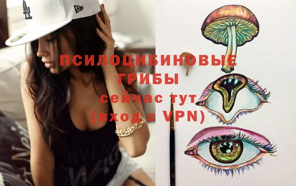 apvp Волоколамск
